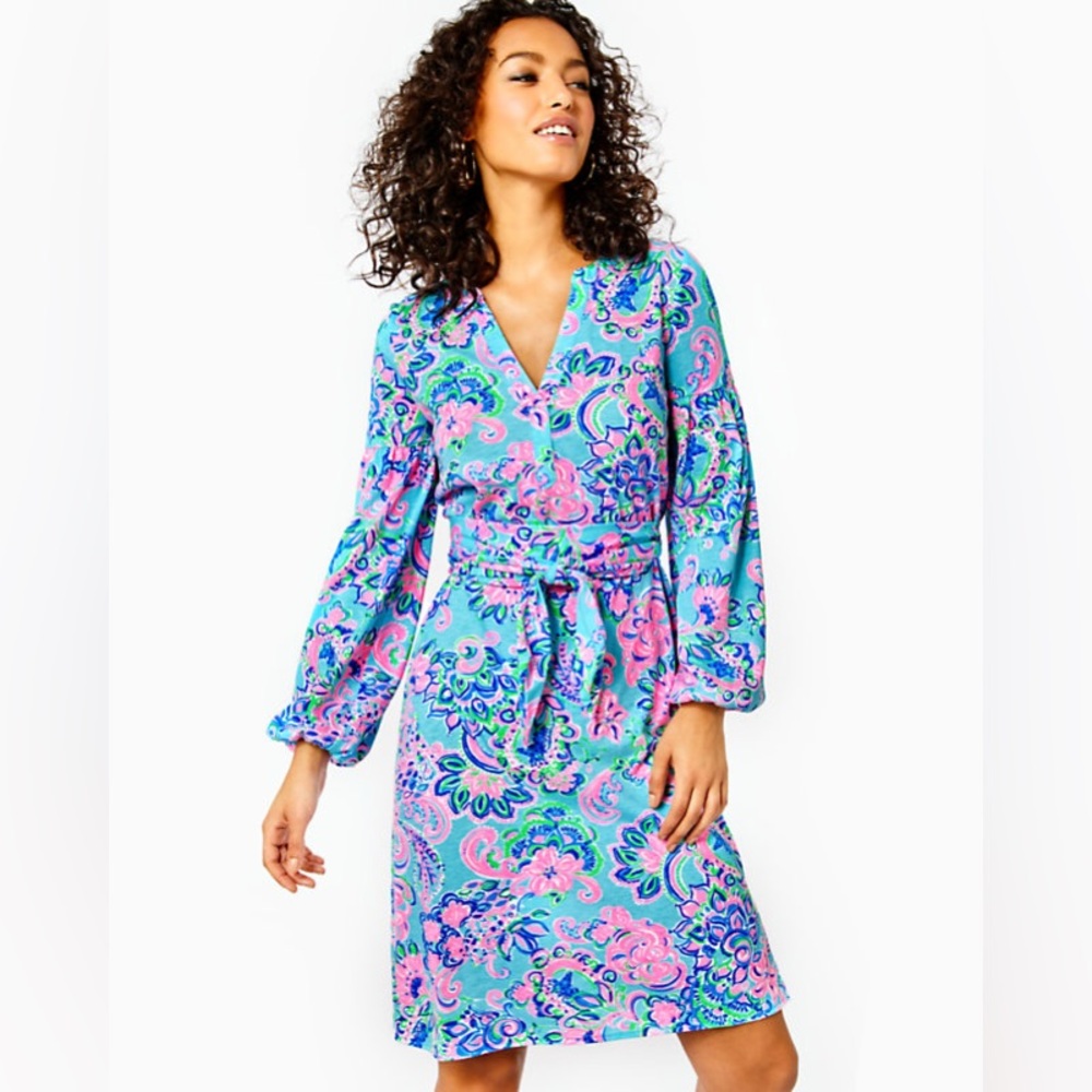 Lilly Pulitzer Kierna Dress XL - Picture 10 of 10